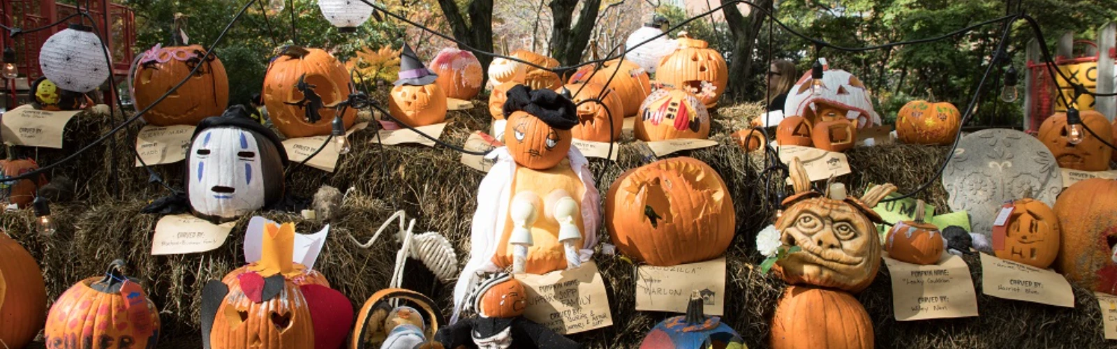 Halloween in Washington 2025: The Best Places to Celebrate the Spooky Season