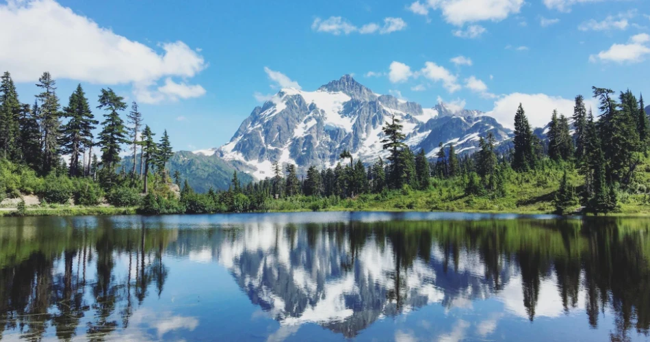Scenic Road Trips in Washington: Coastal Drives & Mountain Views