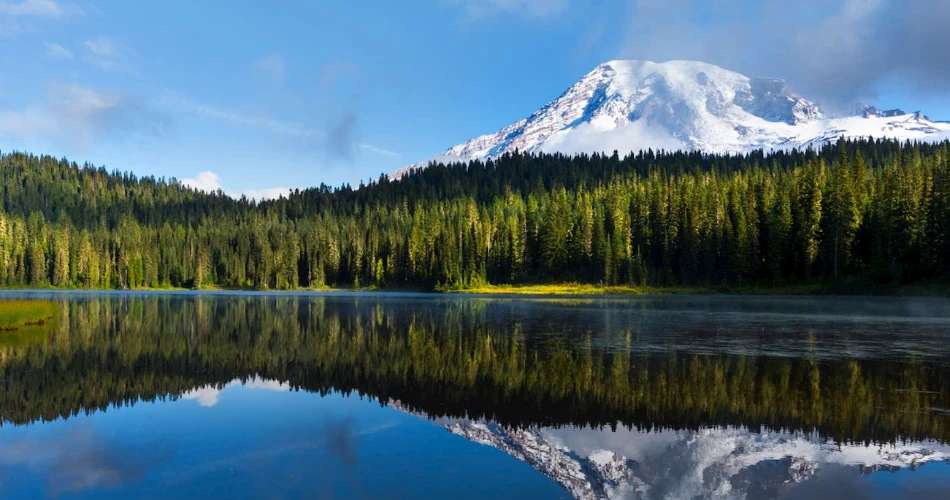 Scenic Road Trips in Washington: Coastal Drives & Mountain Views