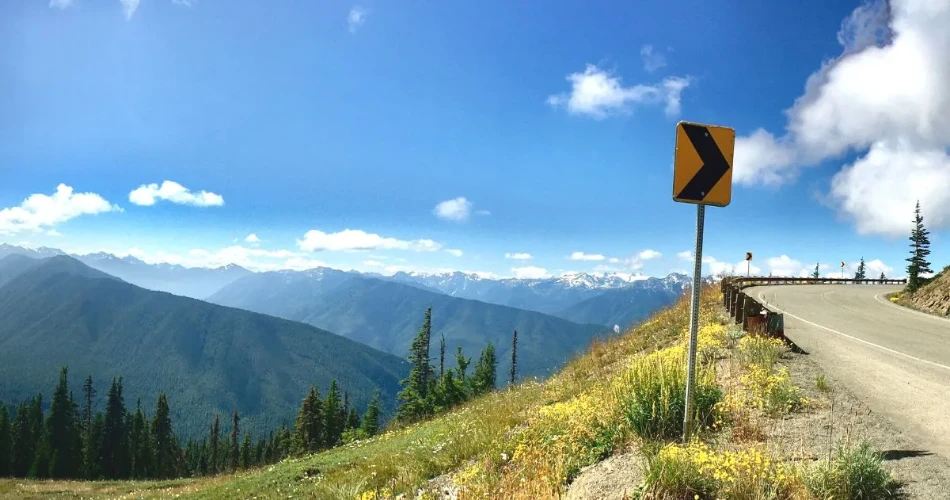 Scenic Road Trips in Washington: Coastal Drives & Mountain Views