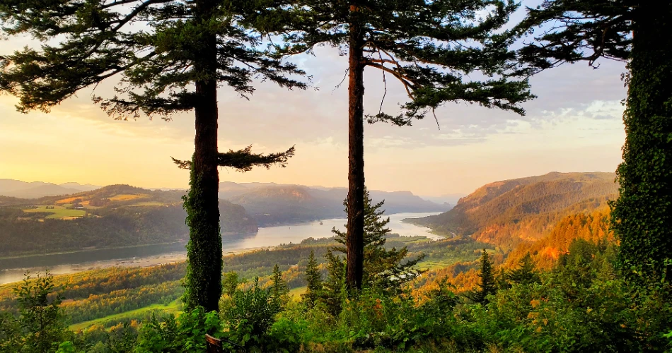 Scenic Road Trips in Washington: Coastal Drives & Mountain Views