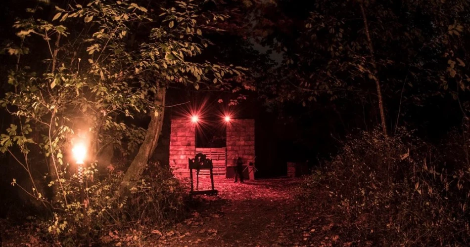 Halloween in Washington 2025: The Best Places to Celebrate the Spooky Season